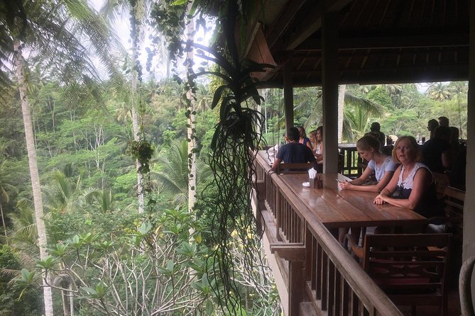 Monkey Forest, Ubud, Waterfall and Rice Terrace - Pickup from Ubud, the coast, or Bali’s ports