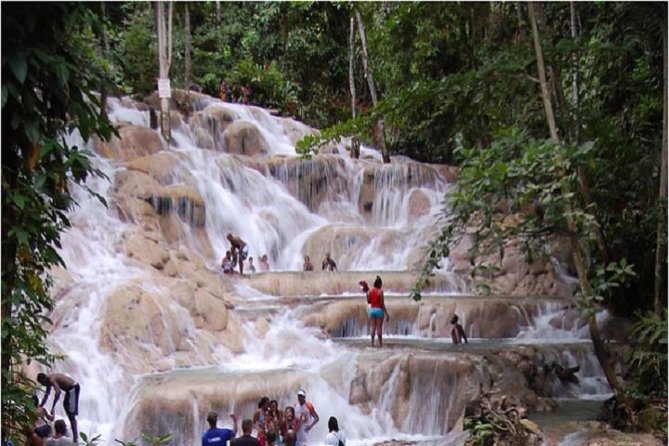 Montego Bay to Dunn's River Falls Half-Day Trip - Key points to know before you go