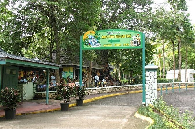 Montego Bay to Dunn's River Falls Half-Day Trip - What to wear and pack for the falls