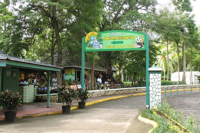Montego Bay to Dunn's River Falls Half-Day Trip - The guides, the pace, and the tipping question