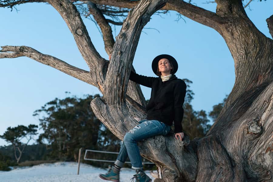 Monterey, Carmel, 17 Mile Dr, Big Sur & Mcway Falls Pvt Tour - Carmel-by-the-Sea and its white-sand beach