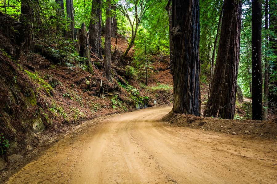 Monterey, Carmel, 17 Mile Dr, Big Sur & Mcway Falls Pvt Tour - The schedule: how to make twelve hours count
