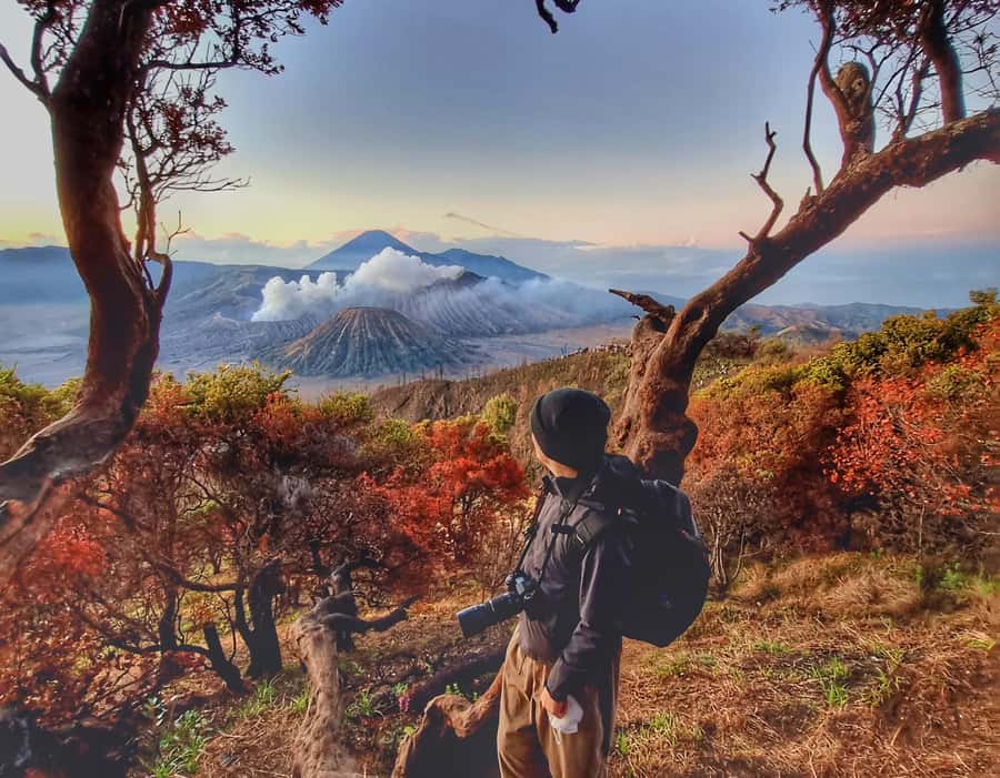 Mount Bromo Sunrise and Madakaripura Waterfall 1 Day Tour - Across the Sea of Sand to Mount Bromo