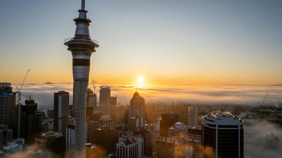 Mt. Eden, Piha Beach & Karekare Waterfalls - PRIVATE TOUR - Why this private Auckland day trip works