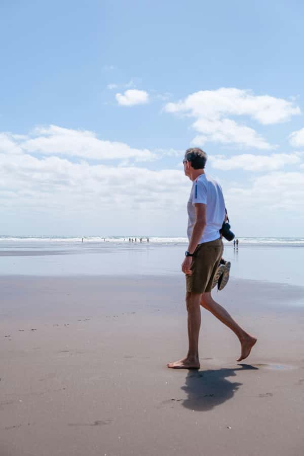Mt. Eden, Piha Beach & Karekare Waterfalls - PRIVATE TOUR - Arataki Visitor Centre brings the Waitākere Ranges into focus