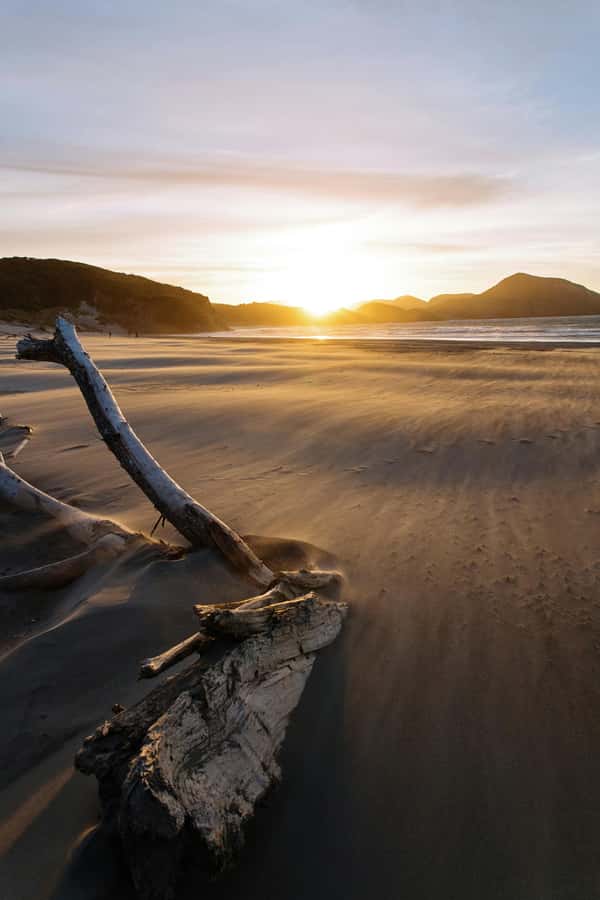 Mt. Eden, Piha Beach & Karekare Waterfalls - PRIVATE TOUR - Mt. Eden starts the day with a broad Auckland view
