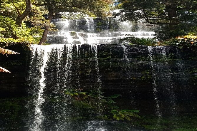 Mt Field National Park and Russell Falls from Hobart - Key points to know before booking