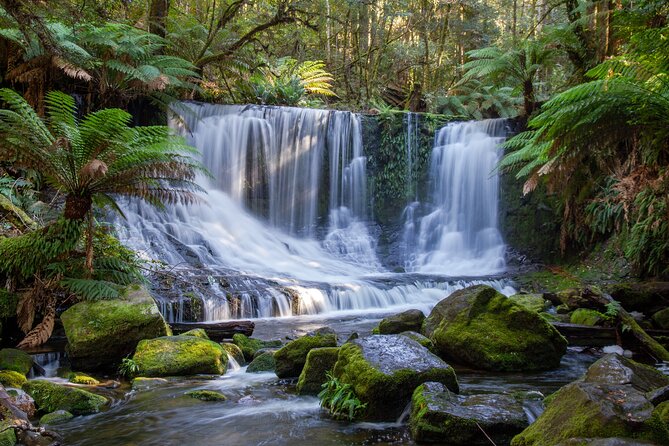 Mt Field National Park and Russell Falls from Hobart - Why this Hobart day trip works