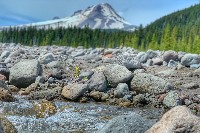 Mt Hood Day Trip from Portland to Multnomah Falls and Hood River - Rowena Crest reveals the unusual shape of the Gorge