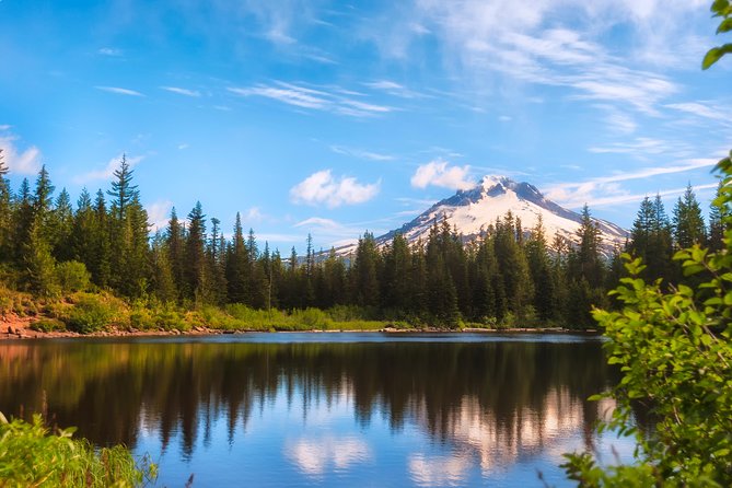 Mt Hood Day Trip from Portland to Multnomah Falls and Hood River - Multnomah Falls and Benson Bridge in 30 minutes