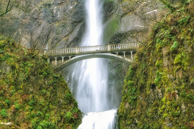 Multnomah Falls and Columbia River Gorge Half-Day Hiking Tour - Why This Half-Day Gorge Trip Works