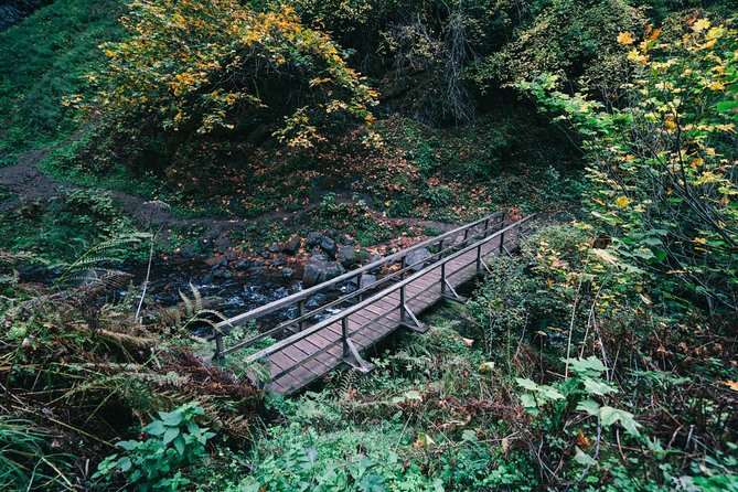 Multnomah Falls and Columbia River Gorge Waterfalls Tour Morning - Latourell Falls and its unusual basalt cliff