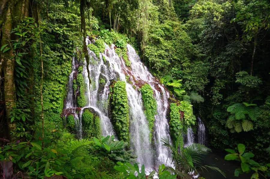 Munduk: Banyu Wana and Sekumpul Waterfall Trekking Tour - Key points at a glance