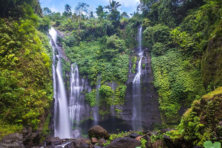 Munduk: Banyu Wana and Sekumpul Waterfall Trekking Tour - Why this Munduk day trip works