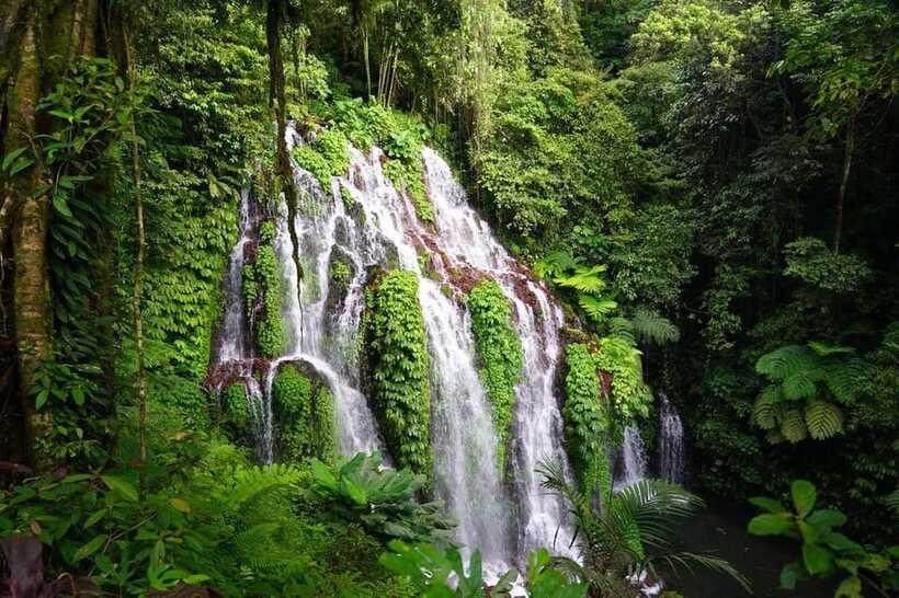 Munduk: Banyu Wana and Sekumpul Waterfall Trekking Tour - Sekumpul brings the hardest hike
