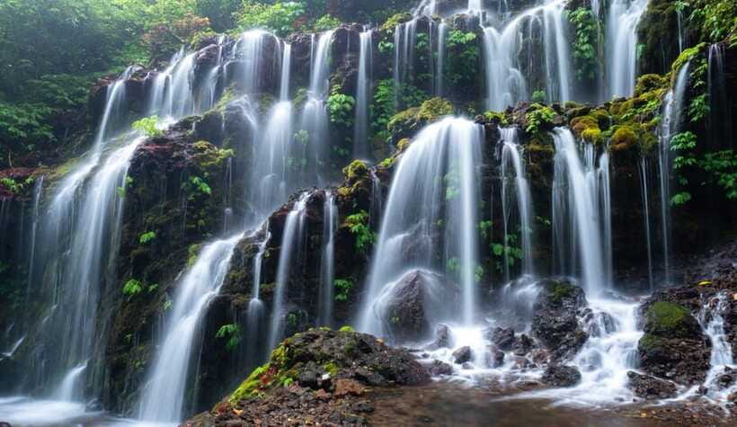 Munduk: Banyu Wana and Sekumpul Waterfall Trekking Tour - The private van adds real comfort