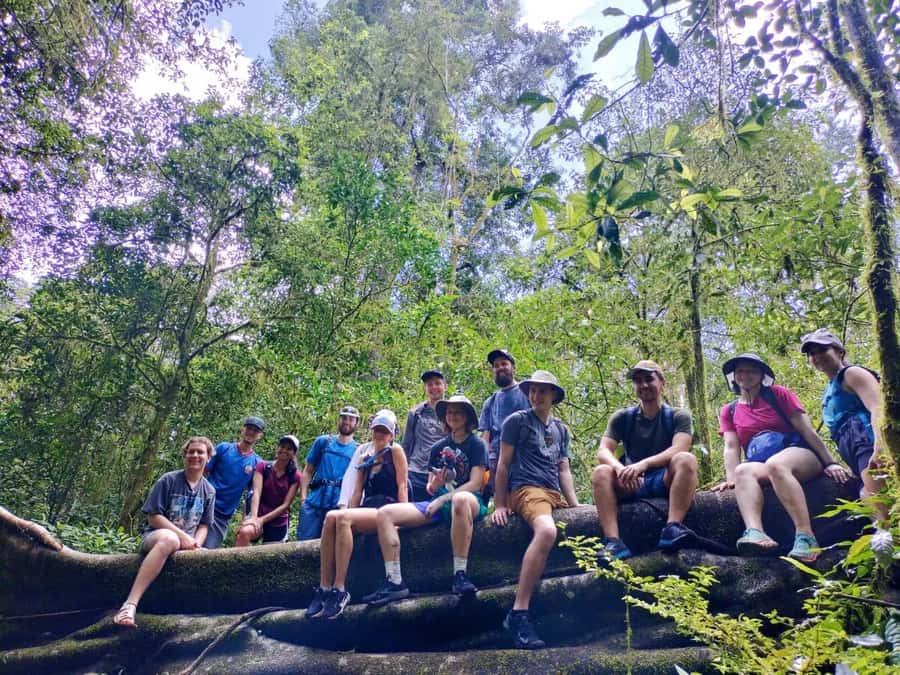 Munduk : Jungle Trekking,Canoeing,waterfall &authentic lunch - Key Points at a Glance