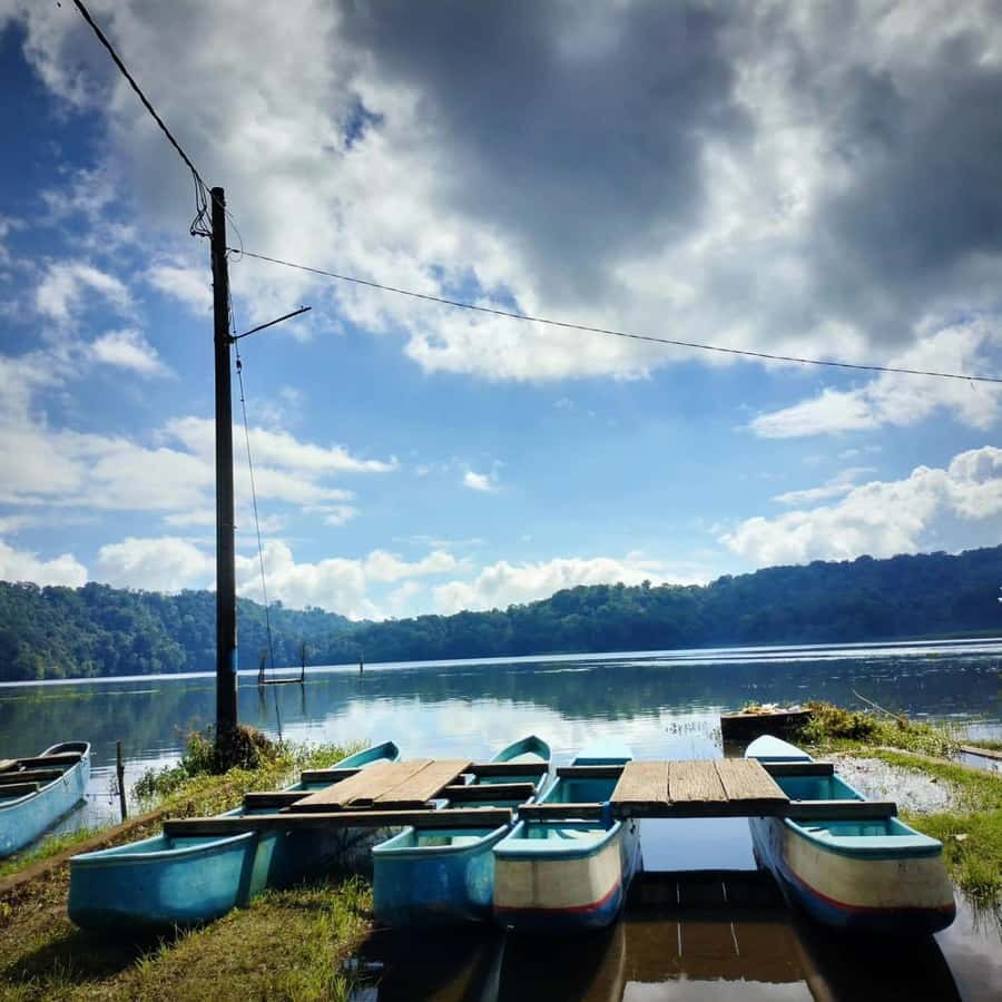 Munduk : Jungle Trekking,Canoeing,waterfall &authentic lunch - What the $45 Price Really Includes