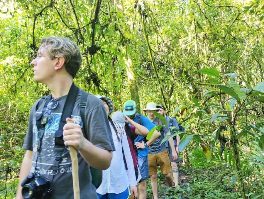 Munduk : Jungle Trekking,Canoeing,waterfall &authentic lunch - Walking Through the Jungle and Old Temples
