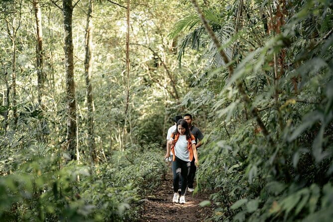 Munduk: Twin Lake Jungle Hike, Ulun Danu Temple, & Waterfall - Twin Lake Viewpoint gives you the big picture