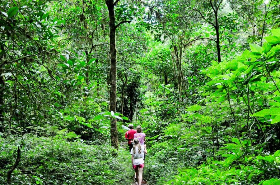 Munduk: Twin Lakes Jungle Hike with Lake Canoe and Waterfall - A full day in Bali’s cooler north