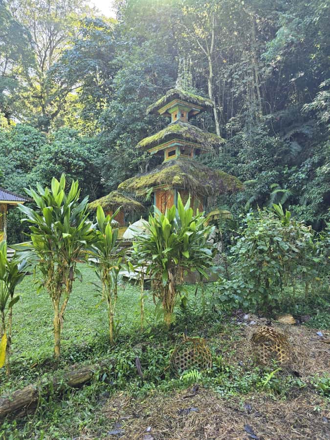 Munduk: Twin Lakes Jungle Hike with Lake Canoe and Waterfall - Banyumala Twin Waterfalls and the swim