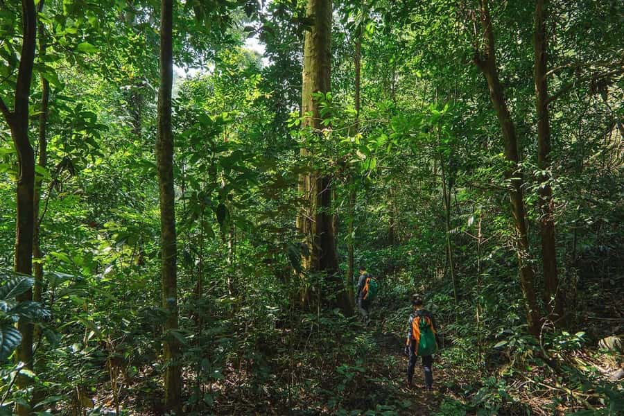 Munduk: Twin Lakes Jungle Hike with Lake Canoe and Waterfall - A local meal worth adding