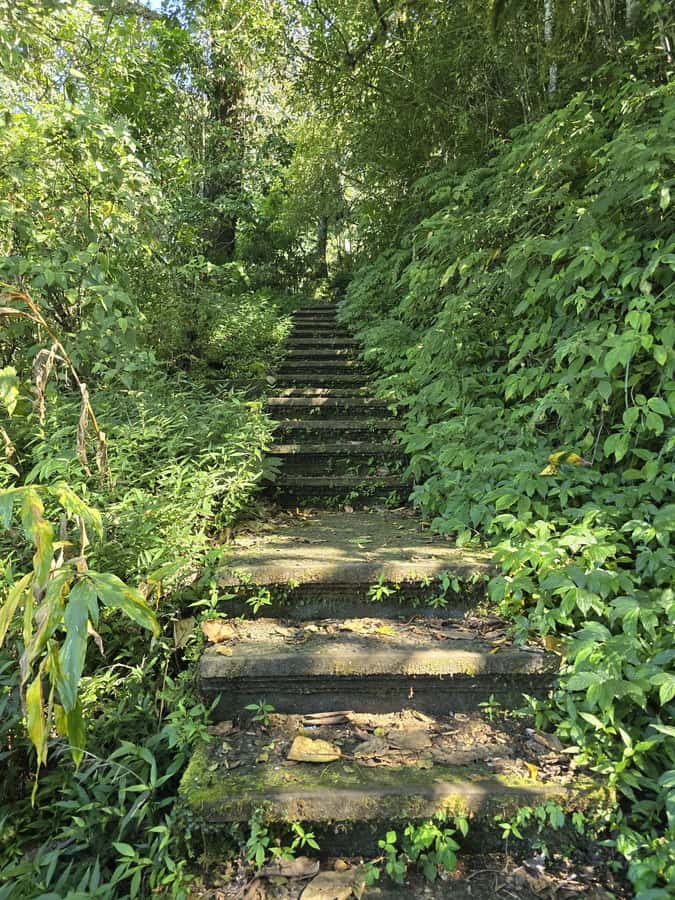 Munduk: Twin Lakes Jungle Hike with Lake Canoe and Waterfall - Guides, drivers, and the human side