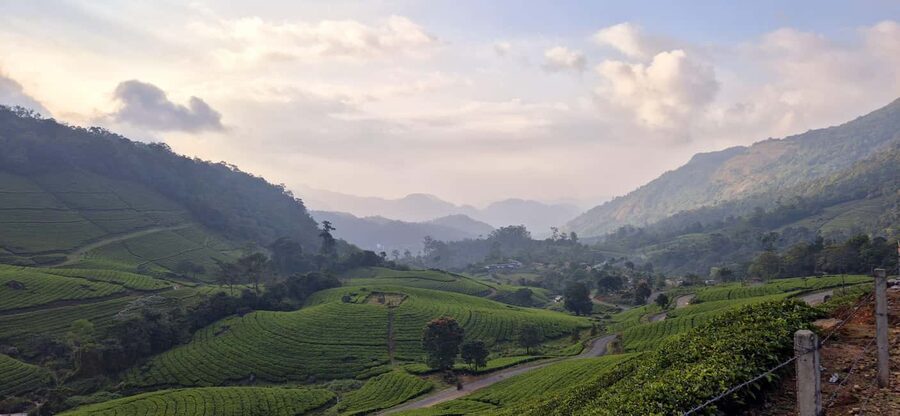 Munnar: Anakulam Jeep Safari with Waterfall and Elephant - Who should book this Munnar jeep trip?
