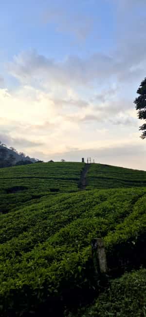 Munnar: Anakulam Jeep Safari with Waterfall and Elephant - Waterfalls, river air, and the cost of stopping