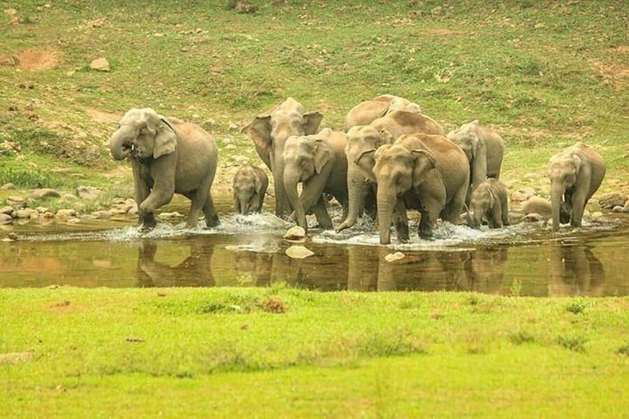 Munnar: Anakulam Jeep Safari with Waterfall and Elephant - Starting at Letchmi Tea Estate and the village
