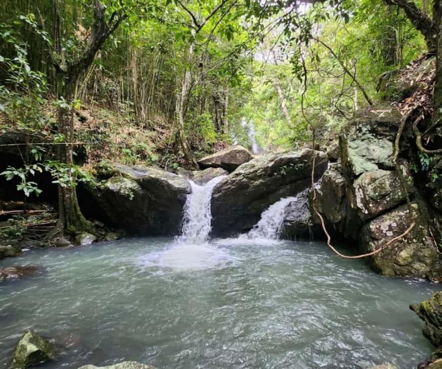 Nadi: Waterfall Tour Adventure with Refreshments and Lunch - Key points to know before booking