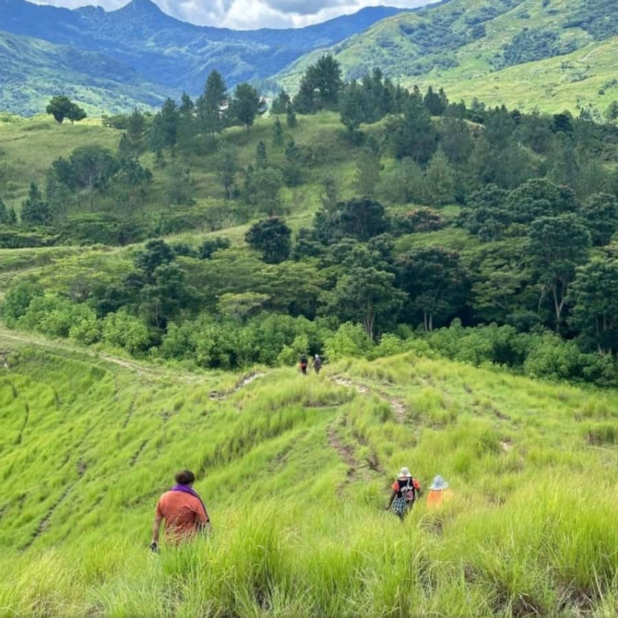 Nadi: Waterfall Tour Adventure with Refreshments and Lunch - Feeding farm animals with salt