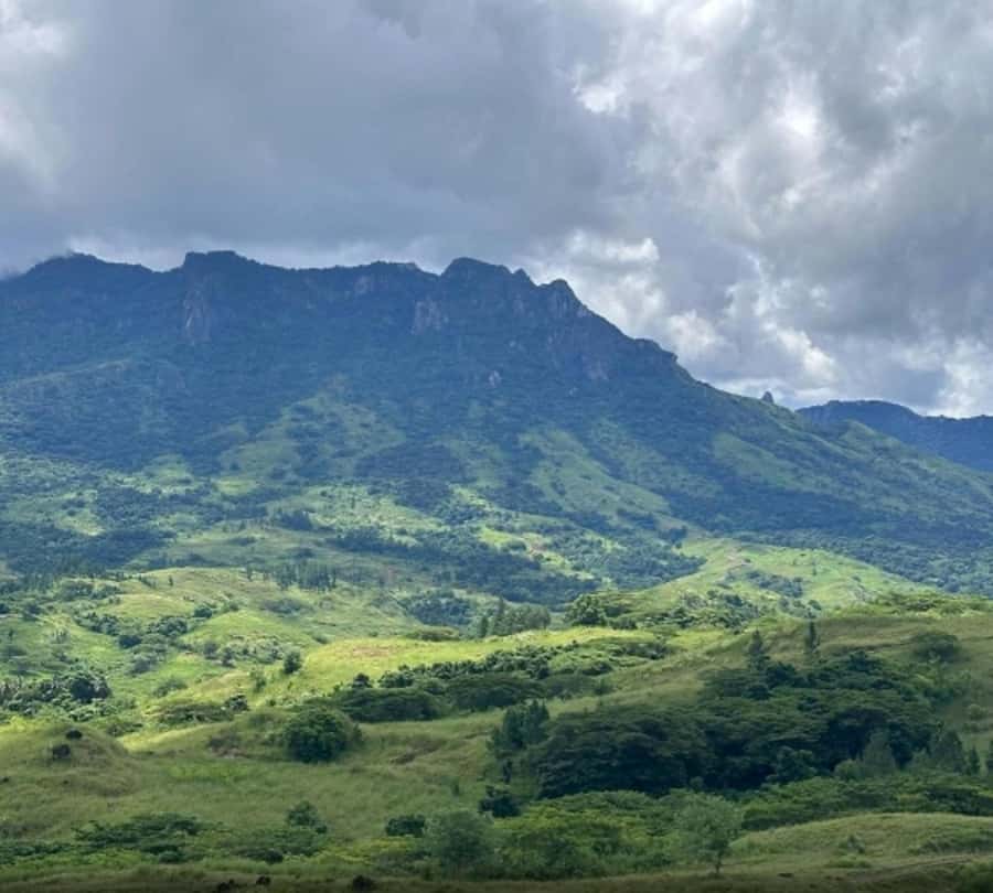 Nadi: Waterfall Tour Adventure with Refreshments and Lunch - Coconut water at the 30-minute campsite stop