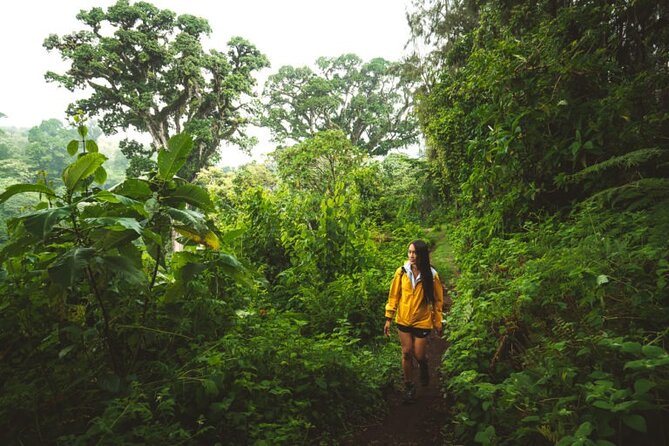 Napuru Waterfalls - Sorting out the one-day timing