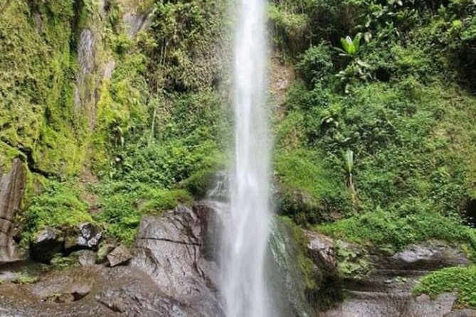 Napuru Waterfalls - The trail through Arusha’s green surroundings