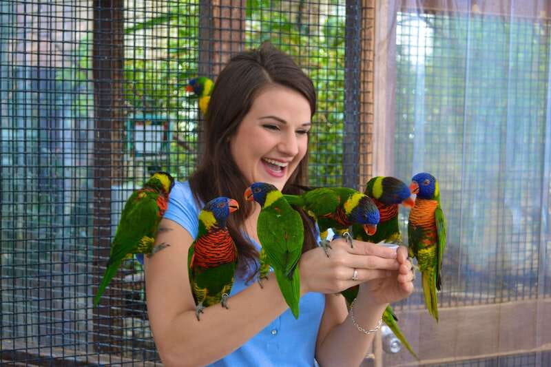 Niagara Falls, Canada: Bird Kingdom Entry Ticket - The free-flying aviary on the third floor