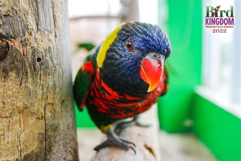 Niagara Falls, Canada: Bird Kingdom Entry Ticket - How long should you allow?