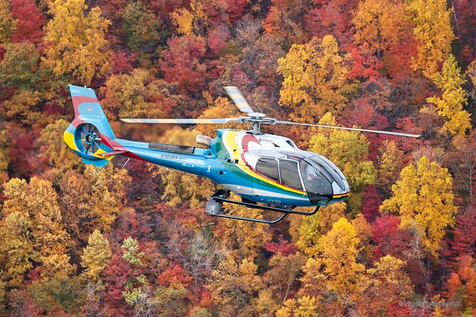 Niagara Falls Canada Helicopter Tour - Why the Airbus H130 and seven-person limit matter