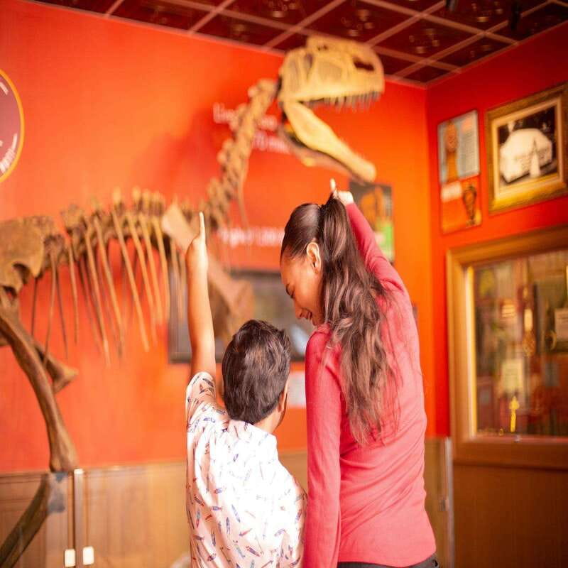 Niagara Falls: Ripley's Believe It or Not! Museum Entry - Key points at a glance
