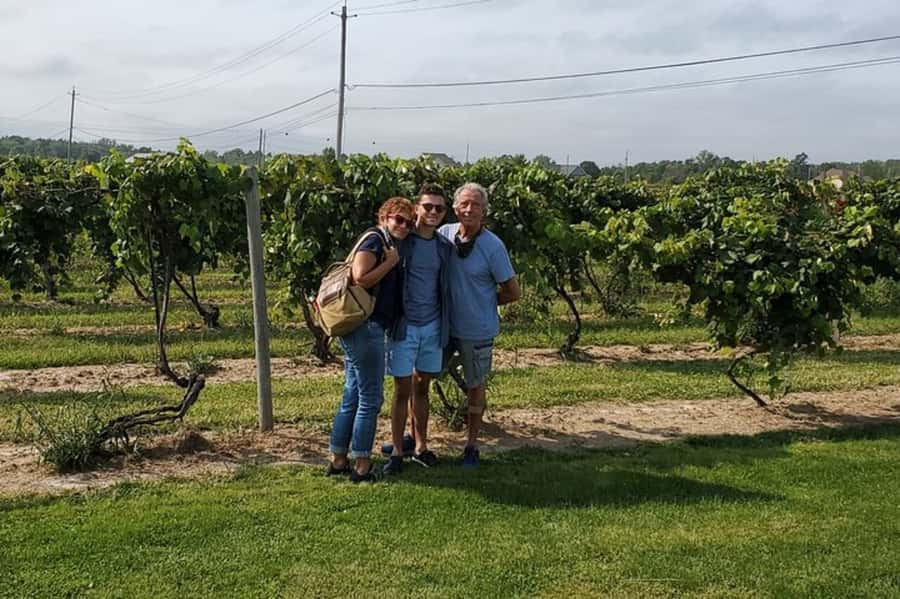 Niagara Falls: USA Small-Group Boutique Wine Tour - Key points at a glance