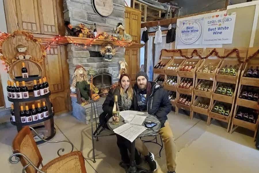 Niagara Falls: USA Small-Group Boutique Wine Tour - Why this Niagara wine tour works well