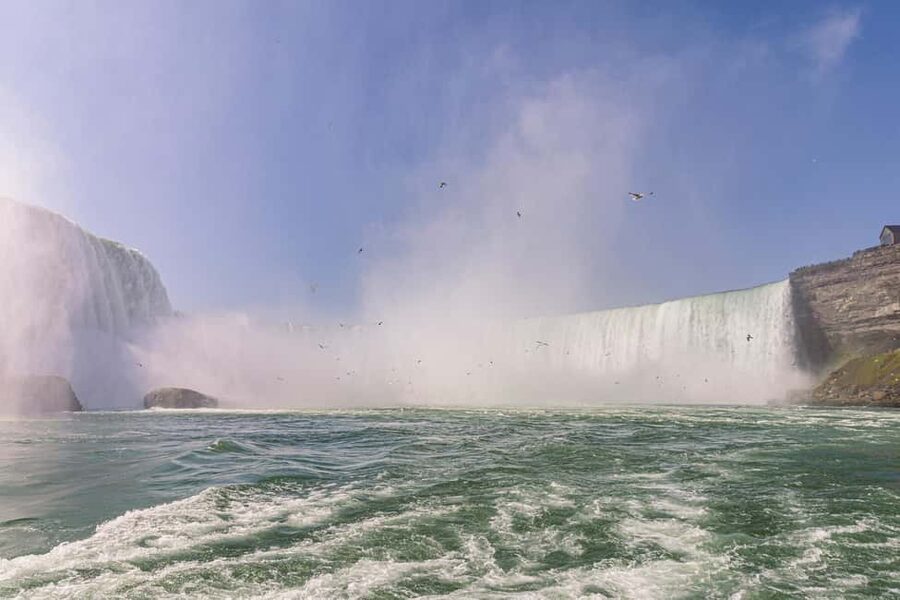 Niagara Falls: VIP Maid of the Mist & Cave of the Winds Tour - Should you book the VIP Maid of the Mist and Cave of the Winds tour?