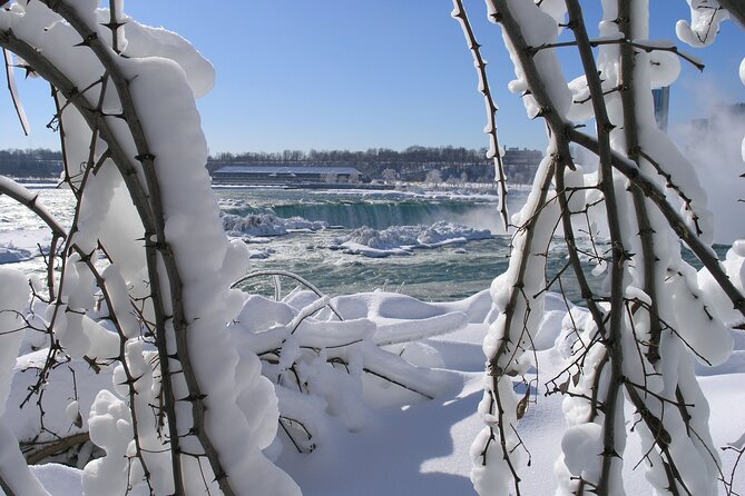 Niagara Falls Winter Wonderland Small Group Tour - The observation tower gives you the big picture