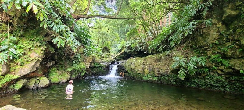 Nordeste/Northeast coast FULL DAY Waterfalls Hike - Starting with pickup and the ride east