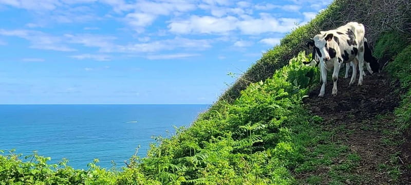 Nordeste/Northeast coast FULL DAY Waterfalls Hike - Waterfalls and freshwater swimming