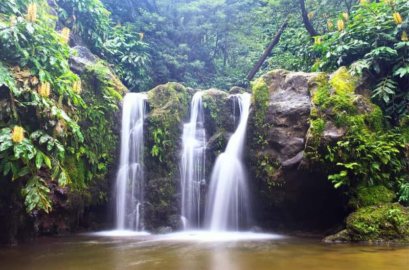 Nordeste/Northeast coast FULL DAY Waterfalls Hike - Who will enjoy this tour most