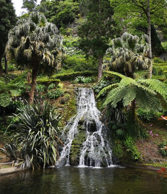 Nordeste: Waterfall, Hot Spring and Viewpoints Full-Day Tour - What the small group changes
