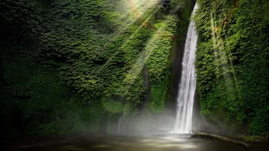 North Bali: Explore Munduk Waterfall Trekking Experience - Key points at a glance