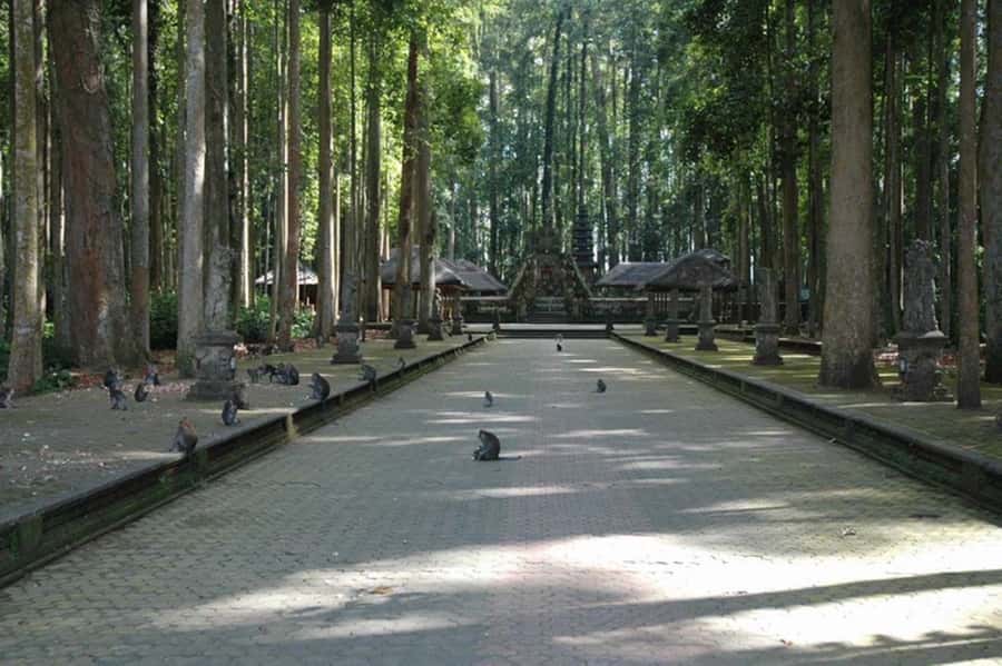 North Bali: Monkey Forest -Waterfall- Rice Terrace-Ulun Danu - Four places, one long Bali day